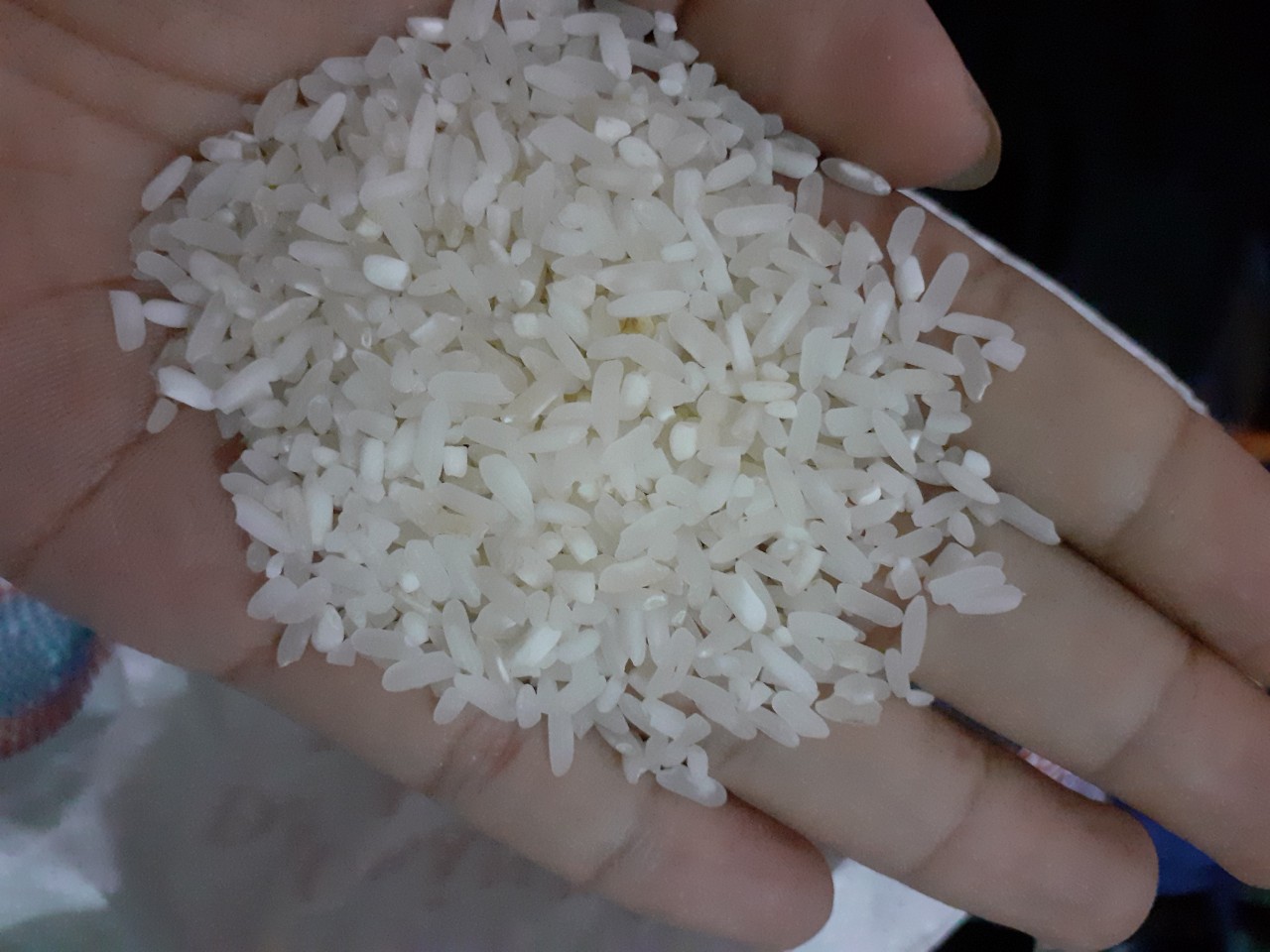 Gạo Sengcu
